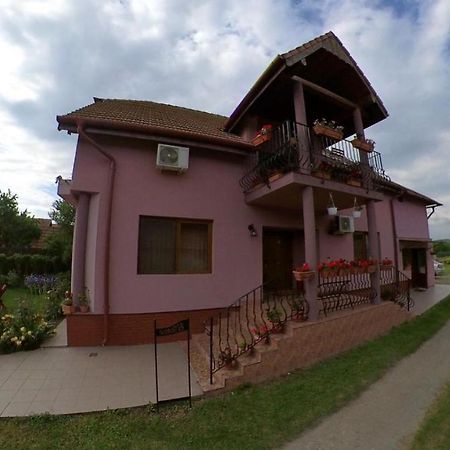 Pensiunea Oana Hotel Balc Exterior foto