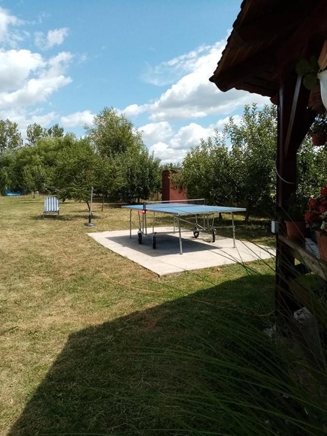 Pensiunea Oana Hotel Balc Exterior foto
