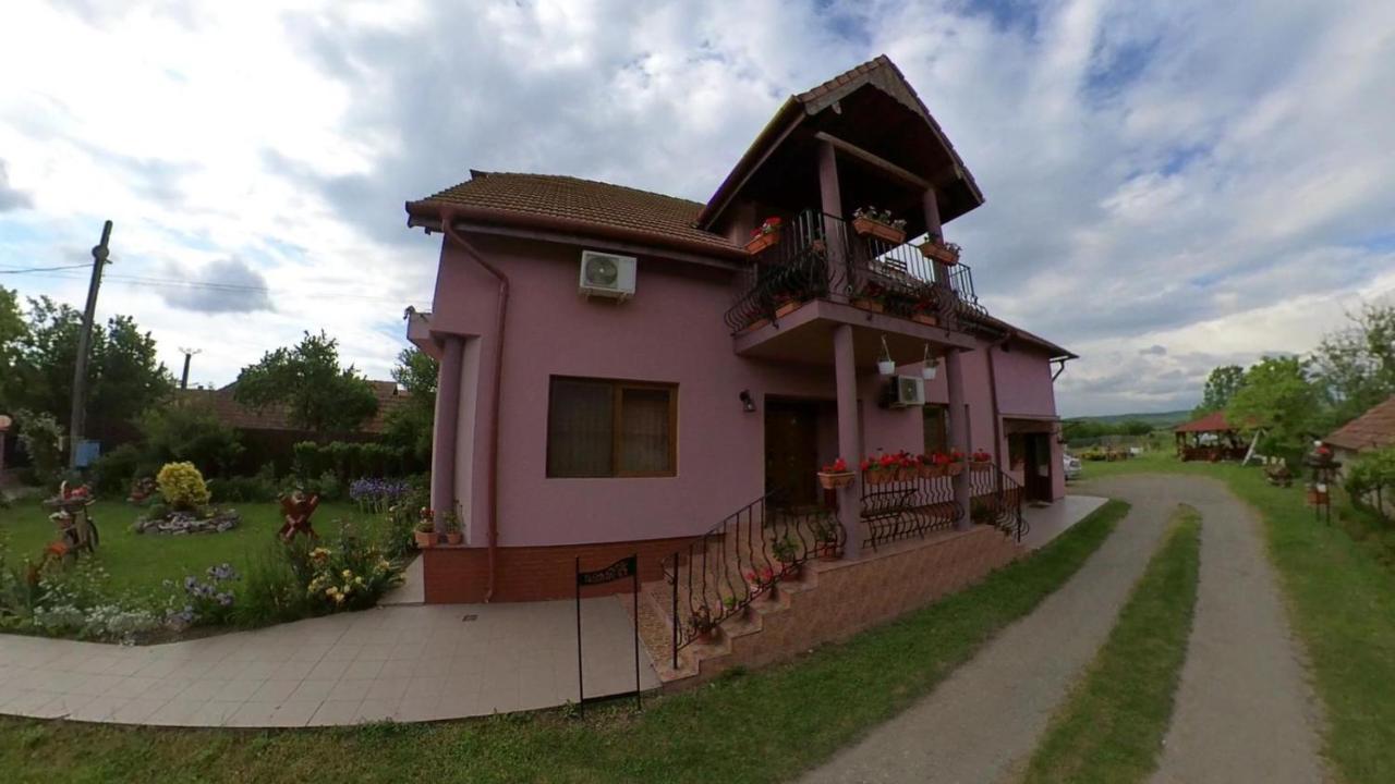 Pensiunea Oana Hotel Balc Exterior foto