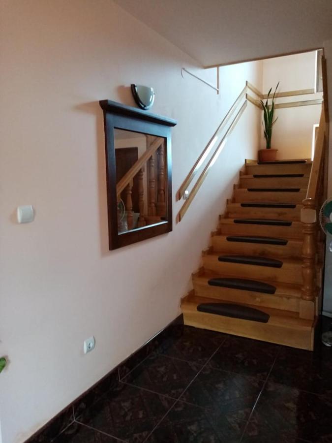 Pensiunea Oana Hotel Balc Exterior foto