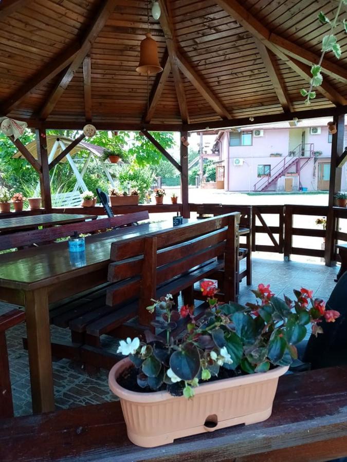 Pensiunea Oana Hotel Balc Exterior foto